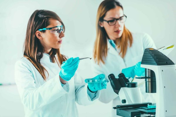 What Are the Emerging Technologies in Biodegradable Materials for UK Packaging Companies?